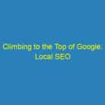 Climbing to the Top of Google: Local SEO Strategies for Sarasota Veterinarians