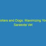 Dollars and Dogs: Maximizing Your Sarasota Vet Business Growth with Smart PPC Strategies
