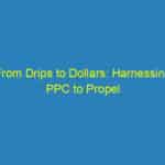 From Drips to Dollars: Harnessing PPC to Propel Your Plumbing Business in Bradenton