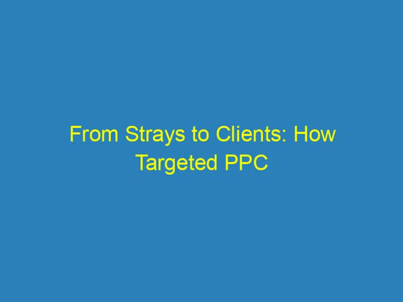 From Strays to Clients: How Targeted PPC Campaigns Can Bring Pet Owners to Your Sarasota Vet