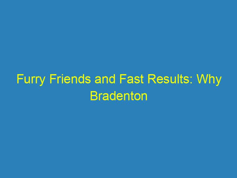 Furry Friends and Fast Results: Why Bradenton Vets Should Invest in PPC Today!