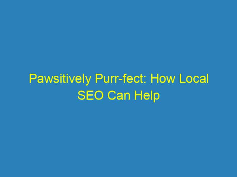 Pawsitively Purr fect: How Local SEO Can Help Your Sarasota Vet Clinic Stand Out