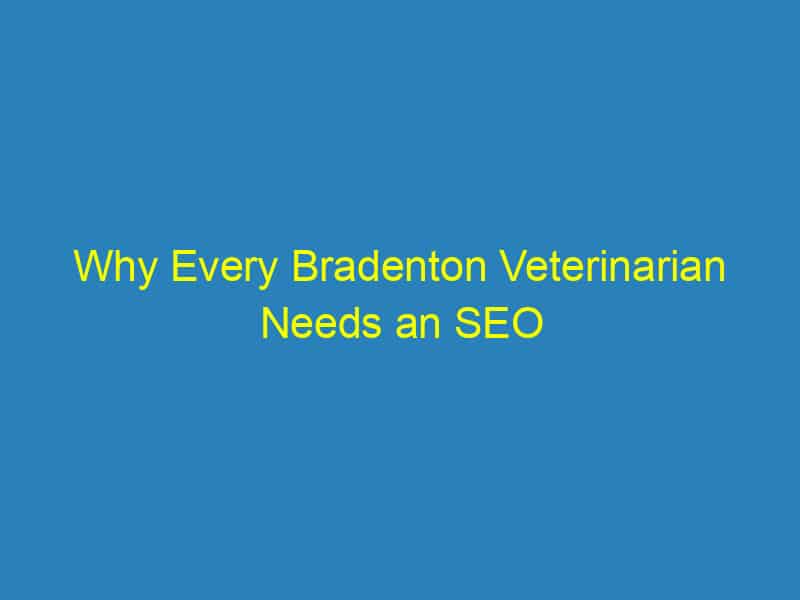 Why Every Bradenton Veterinarian Needs an SEO Strategy: Unlocking Success in a Competitive Market