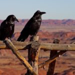 From Local to Legendary: Unlocking the Power of SEO for Your Bradenton Fence Installation Services