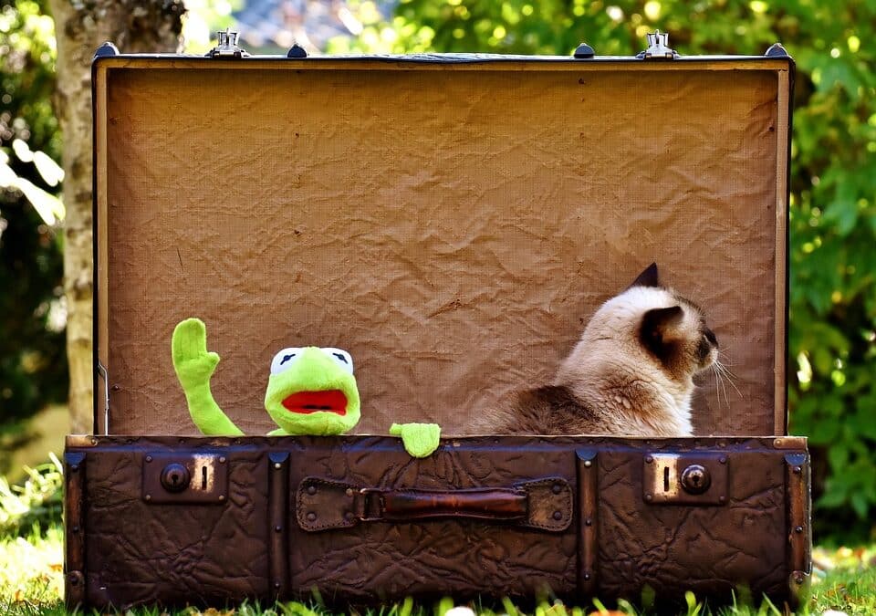 “A Cleaner Sarasota Starts with Your Rankings: The Essential SEO Guide for Junk Removal Owners”