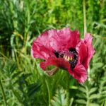 Balancing Your Budget: Why Sarasota Day Spas Can't Afford to Ignore PPC Advertising