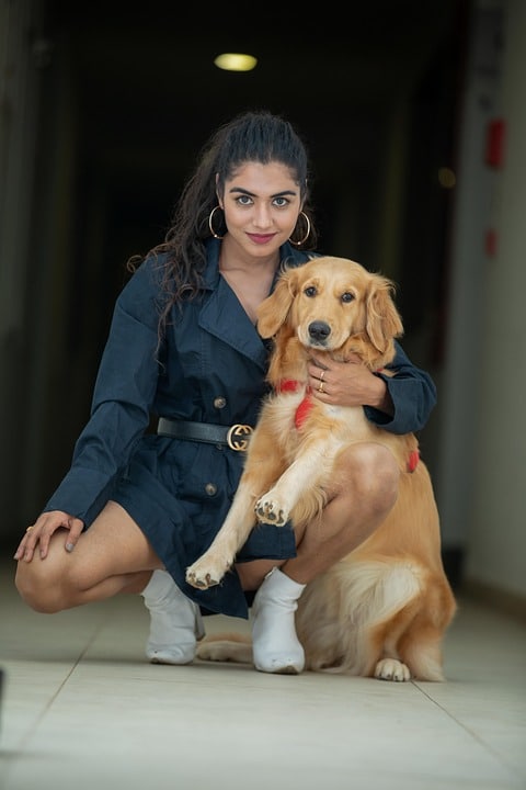 Bark Up the Right Tree: Maximizing Your Bradenton Pet Training Business with Smart PPC Strategies