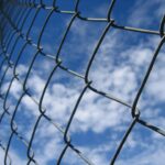 Beyond the Fence: Why Investing in SEO Can Transform Your Bradenton Business Landscape