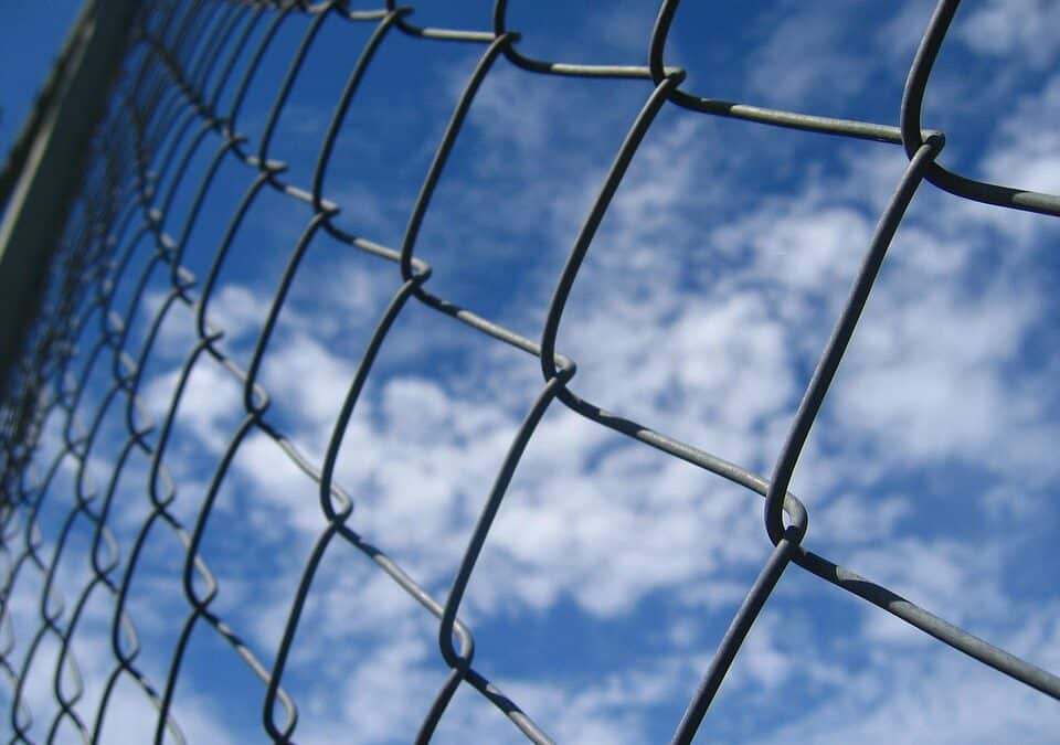 Beyond the Fence: Why Investing in SEO Can Transform Your Bradenton Business Landscape
