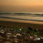 Bidding for Success: How PPC Can Help Your Junk Hauling Business Stand Out in Bradenton's Competitive Market