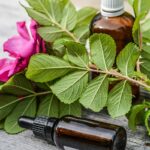Boost Your Bookings: The Power of SEO for Bradenton's Massage Therapists