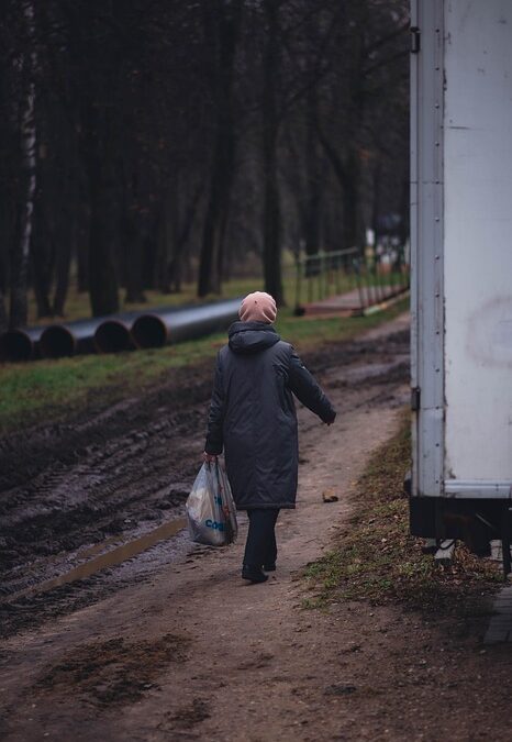 Boost Your Sarasota Appliance Repair Business: How SEO Can Put You on the Map