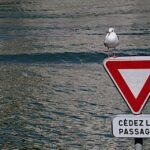 Boost Your Solar Business: The Untapped Potential of PPC Ads for Bradenton Entrepreneurs