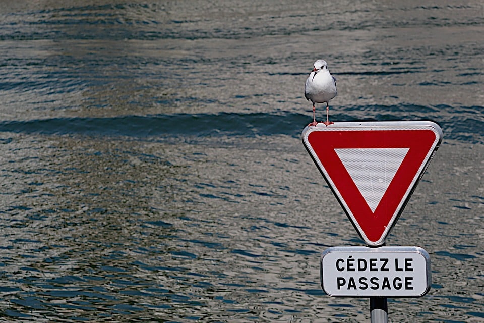 Boost Your Solar Business: The Untapped Potential of PPC Ads for Bradenton Entrepreneurs