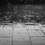 Boosting Your Flooring Business: 5 PPC Strategies Every Sarasota Installer Should Know