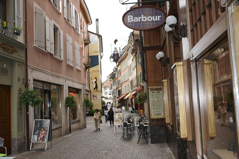 Branching Out: How SEO Can Elevate Your Bradenton Tree Service Above the Competition