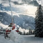 Branching Out Online: How SEO Can Elevate Your Sarasota Tree Service Business