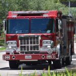 Branching Out: The Unseen Benefits of PPC Advertising for Bradenton's Tree Service Pros