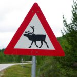 Bright Ideas for Solar Installers: How Pay-Per-Click Can Boost Your Business Visibility in Sarasota