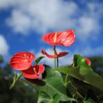 Brush Up Your Business: How PPC Advertising Can Color Your Bradenton Painting Company for Success