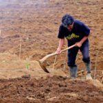 Building Your Brand: The Power of PPC for Local Excavation Contractors in Bradenton