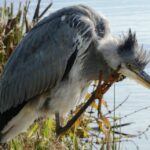 Building a Brighter Future: The Essential Role of SEO for Siding Contractors in Sarasota