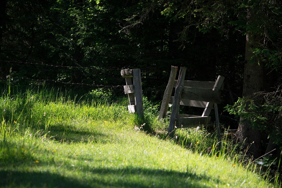 Building a Stronger Business: How Targeted PPC Campaigns Can Transform Your Fence Installation Services in Sarasota