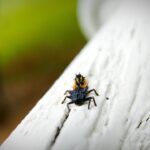 Buzz Away Your Competition: How PPC Advertising Can Make Your Bradenton Pest Control Business Thrive!