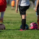 Buzzing Online: How SEO Can Supercharge Your Sarasota Pest Control Business