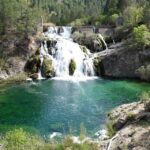 Cannonball into Growth: How Sarasota Pool Repair Businesses Can Benefit from Targeted PPC Strategies