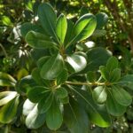 Clean Sweep Your Competition: Why Bradenton Junk Removal Businesses Need PPC Now More Than Ever!