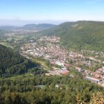 Clear Waters Ahead: The Importance of SEO for Growing Your Pool Repair Business in Bradenton