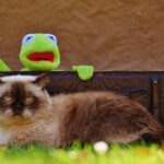 Clearing Clutter and Driving Sales: Benefits of PPC for Sarasota's Junk Hauling Entrepreneurs