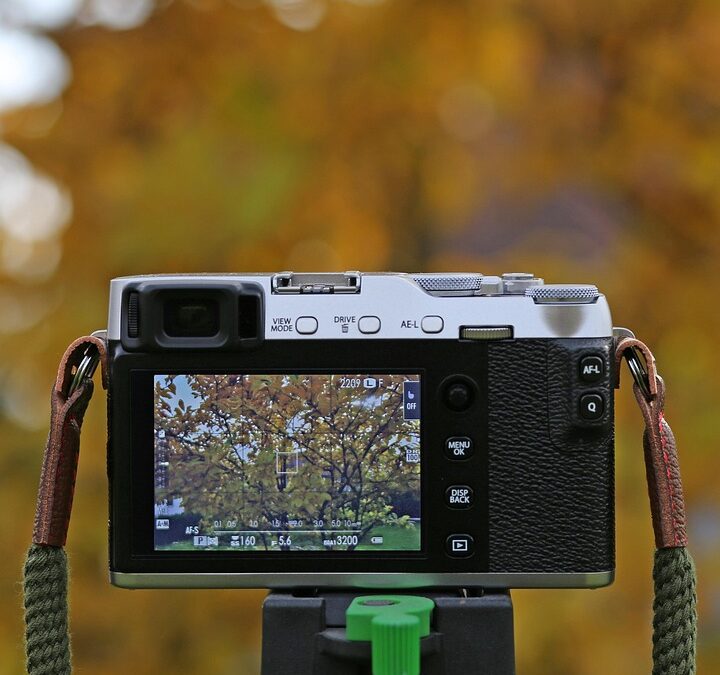 Click & Capture: The Ultimate Guide to PPC Strategies for Bradenton's Talented Photographers