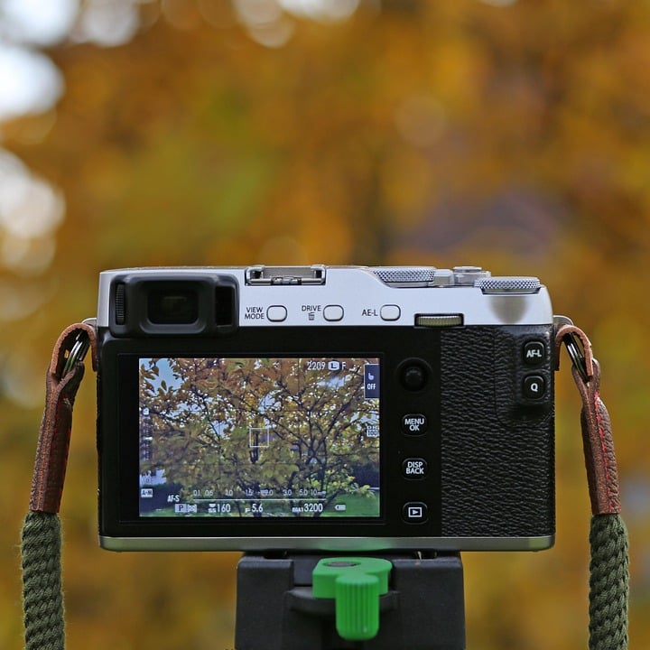 Click & Capture: The Ultimate Guide to PPC Strategies for Bradenton's Talented Photographers