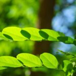 Constructing Visibility: Top SEO Strategies for General Contractors in Bradenton