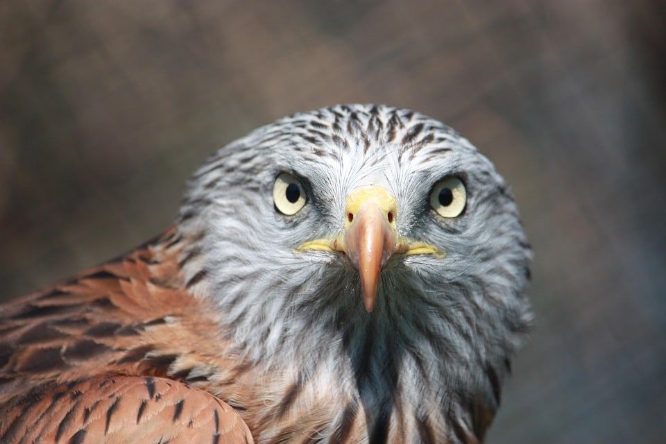 Crafting a Digital Playground: How Local SEO Can Attract More Families to Your Bradenton Child Care Center