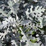 Cultivating Success: 5 SEO Tips to Help Your Bradenton Landscaping Business Stand Out Online