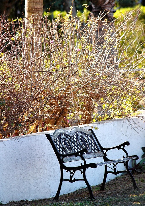 Cultivating Visibility: Unlocking the Power of SEO for Your Sarasota Landscaping Business