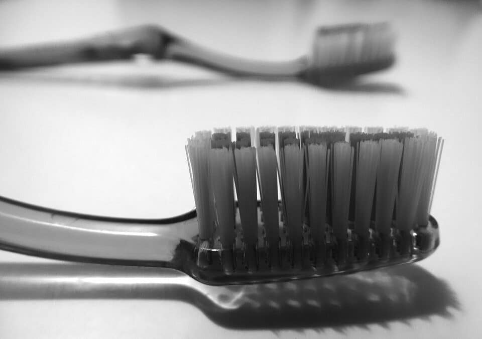 Cutting Through the Noise: Harnessing SEO to Boost Your Sarasota Lawn Care Business Visibility