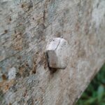 Cutting Through the Noise: How SEO Can Elevate Your Sarasota Nail Salon Above the Competition