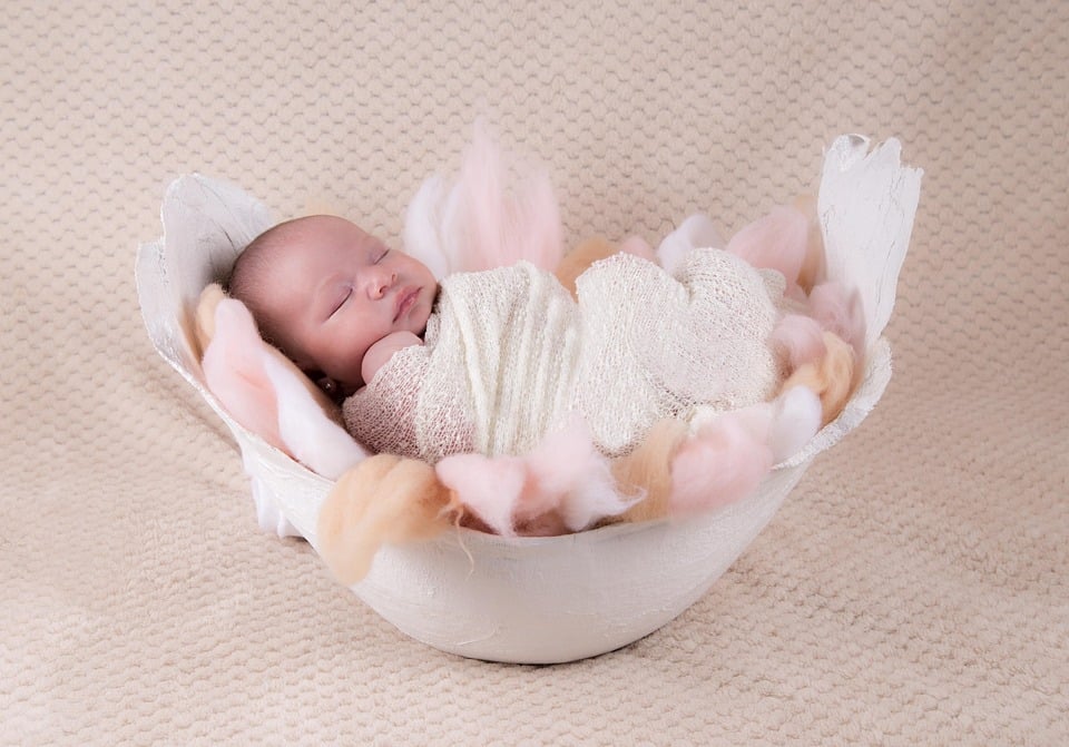 Damp Space, Bright Future: The Hidden Benefits of PPC for Your Mold Remediation Service