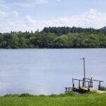 Deck the Halls with SEO: How Sarasota Builders Can Boost Visibility and Revenue