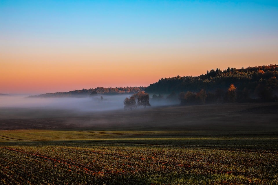 Digging Deep: The SEO Strategies Sarasota Land Graders Can't Afford to Ignore