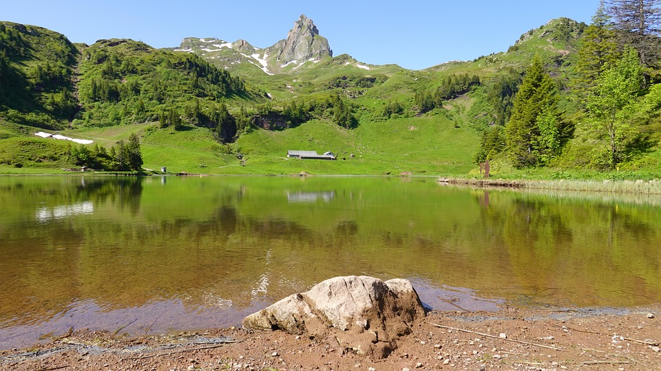 Digging Deeper: Uncover the SEO Secrets to Attracting More Land Grading Clients in Bradenton