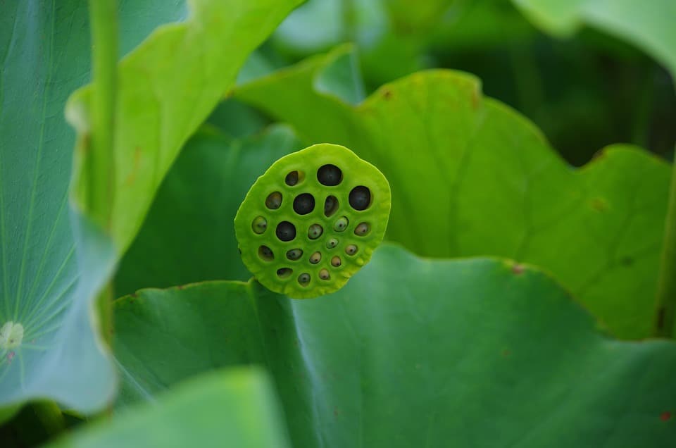 Digging for Success: Why Sarasota Lawn Care Services Need PPC to Thrive in a Competitive Market