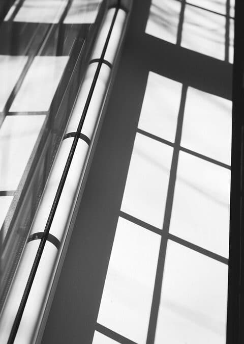 Don't Miss the Window: How Targeted PPC Campaigns Can Elevate Your Bradenton Business