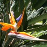 Elevate Your Day Spa in Sarasota: The Surprising Benefits of Targeted PPC Campaigns!