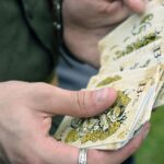 Elevate Your Deck Building Business: How Local SEO Can Help You Stand Out in Bradenton