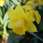 Elevate Your Sarasota Day Spa: How SEO Can Transform Local Searches into Loyal Clients!